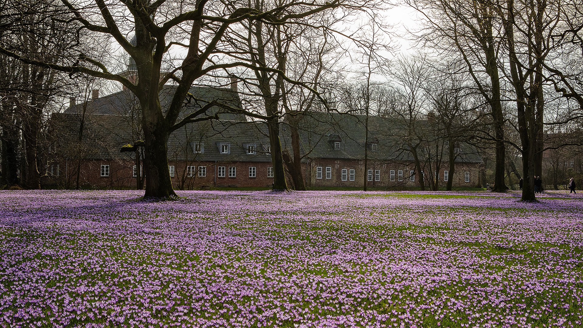 Schloss Husum