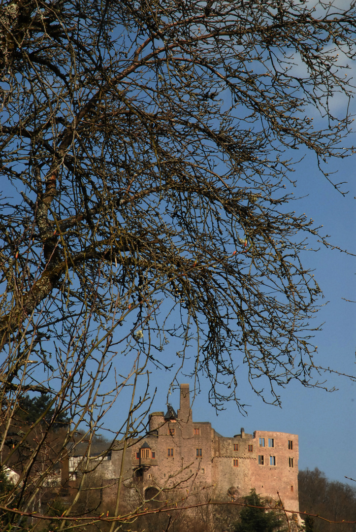 Schloss Idar-Oberstein