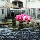 SCHLOSS IM BRUNNEN Var