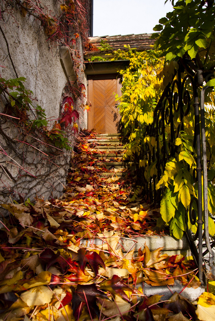 Schloss im Herbst