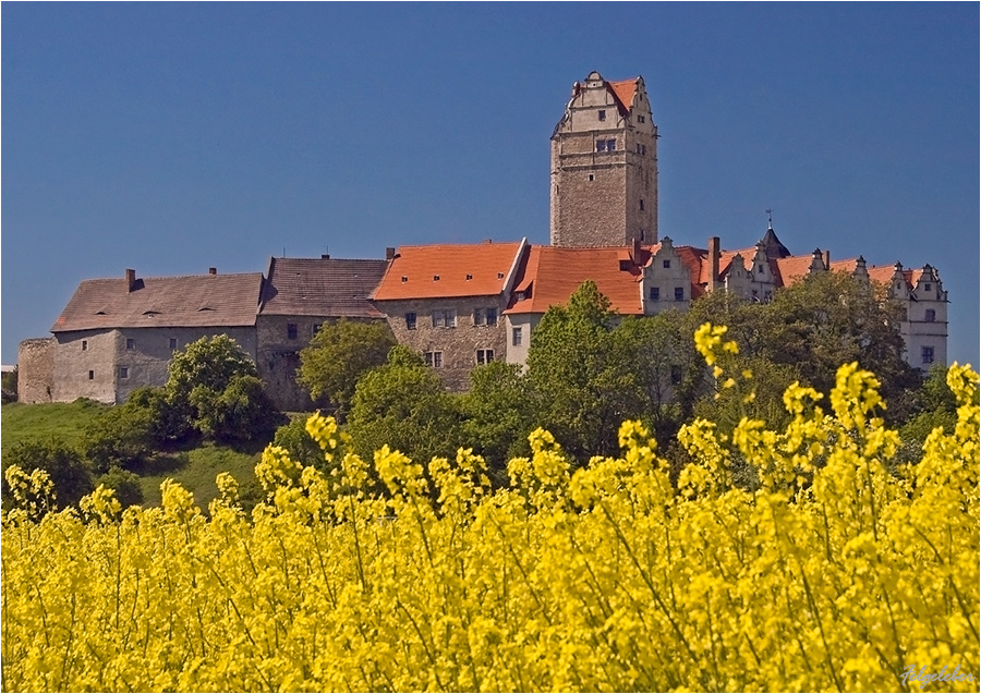 Schloss im Mai