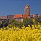 Schloss im Mai