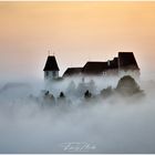 Schloss im Morgennebel 