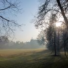 Schloss im Nebel