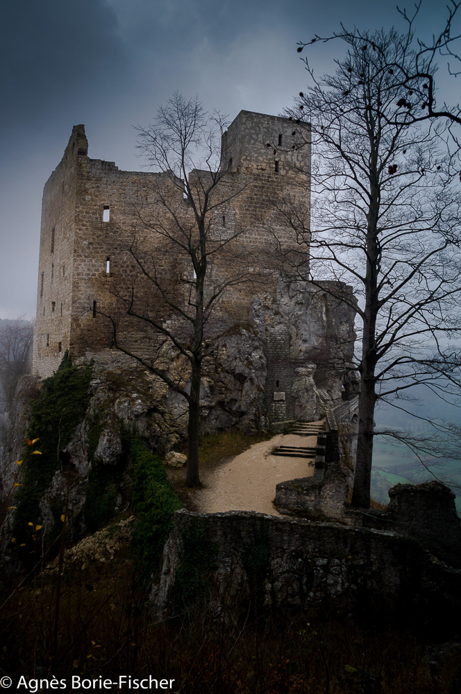 Schloss im Nebel