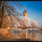 Schloss im Reif