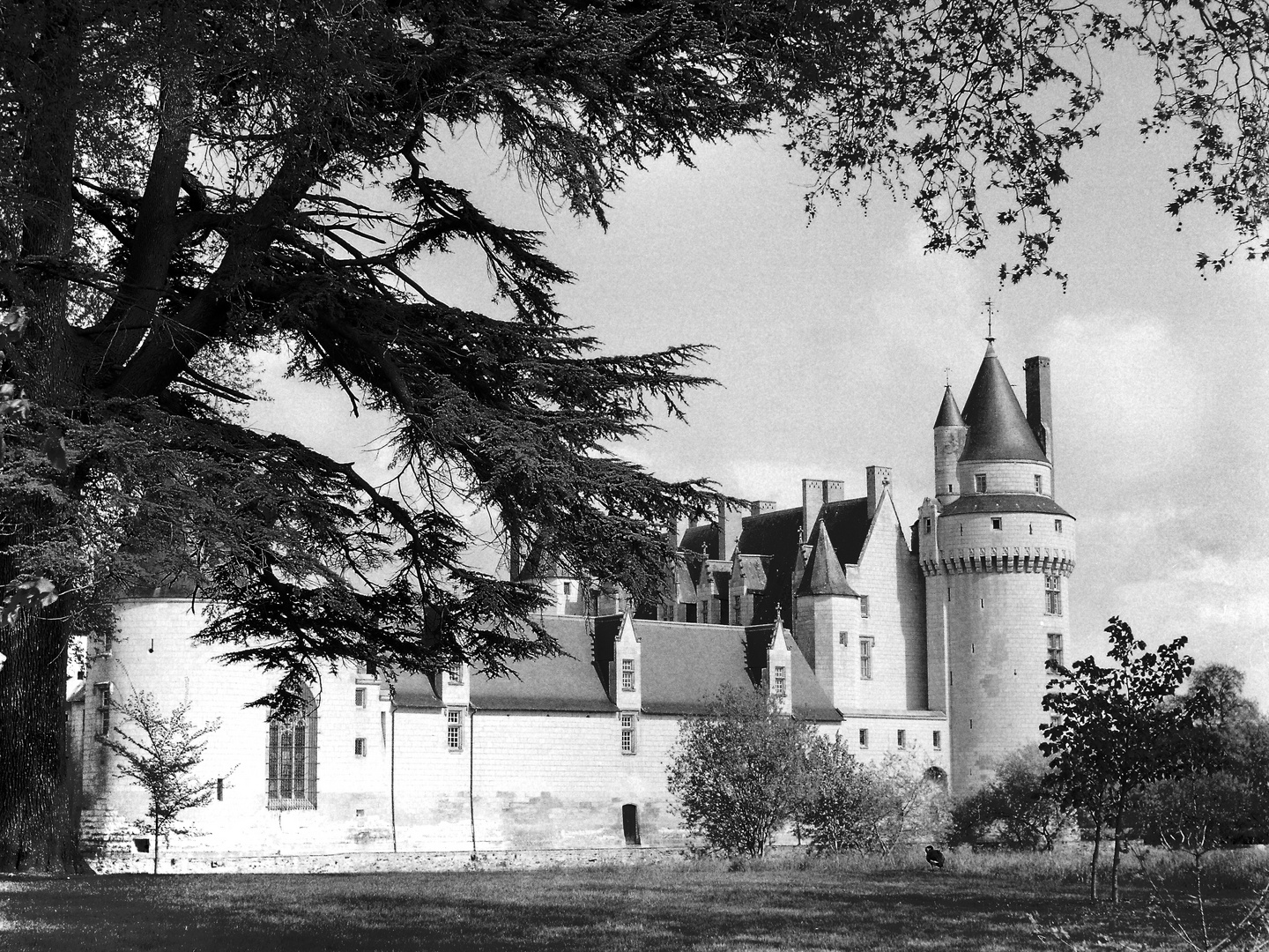 Schloss im Tal der Loire