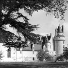 Schloss im Tal der Loire