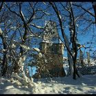 Schloß im verschneitem Wald