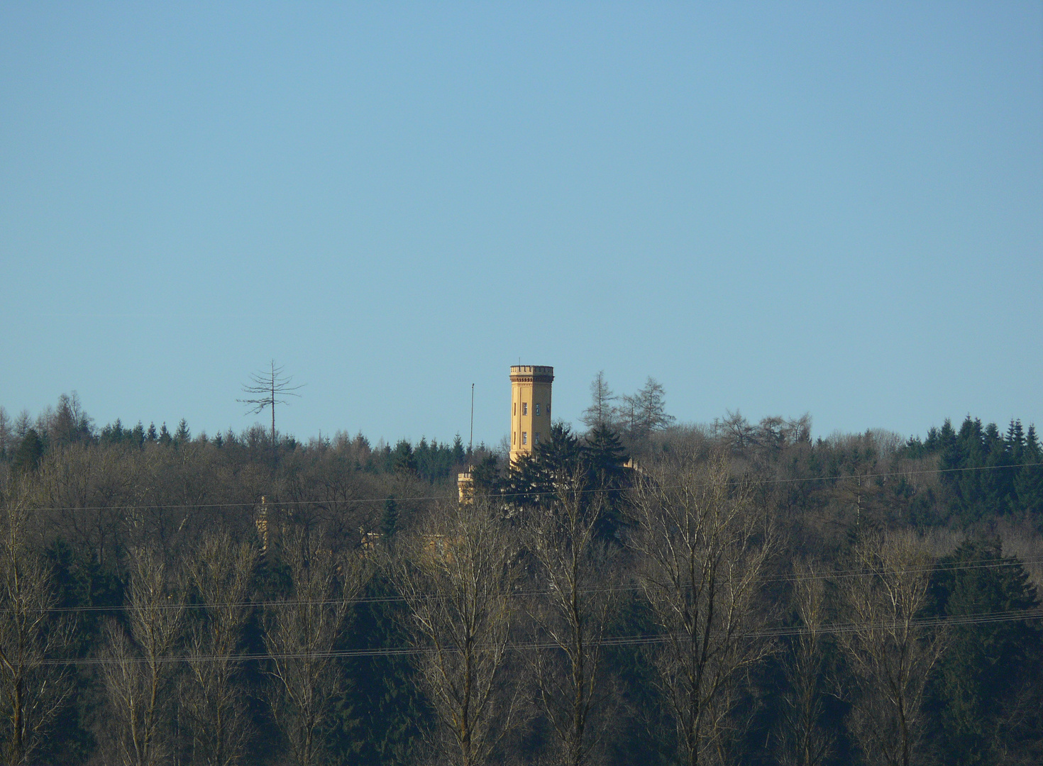 schloss im Wald