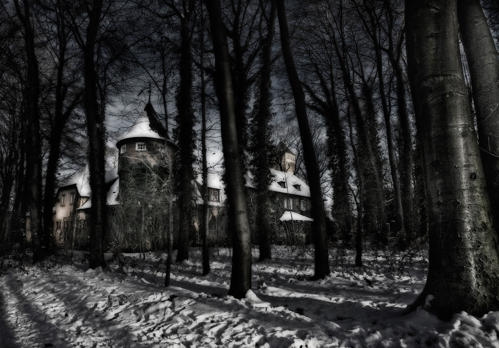 Schloss im Winterwald