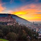 Schloss in Heidelberg