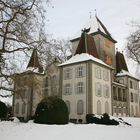 Schloss Jegensdorf ( CH )