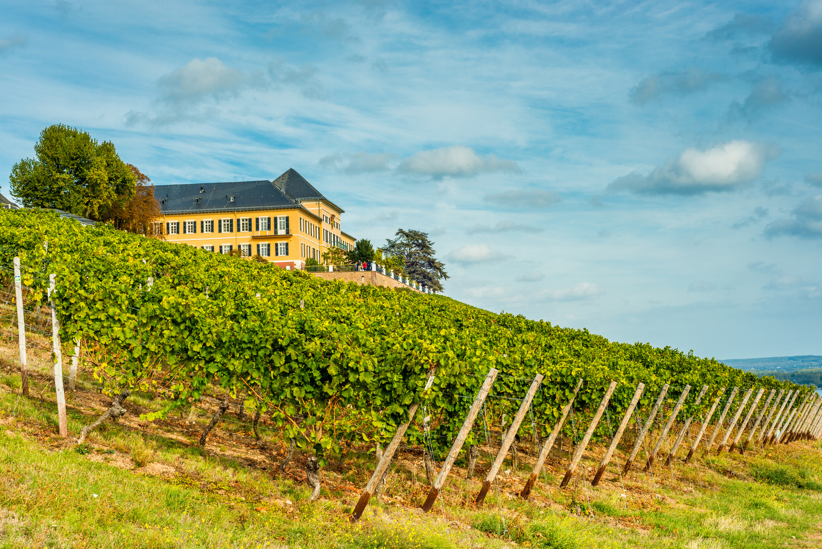 Schloss Johannisberg 81