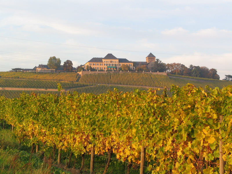 Schloss Johannisberg im Herbst