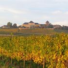 Schloss Johannisberg im Herbst