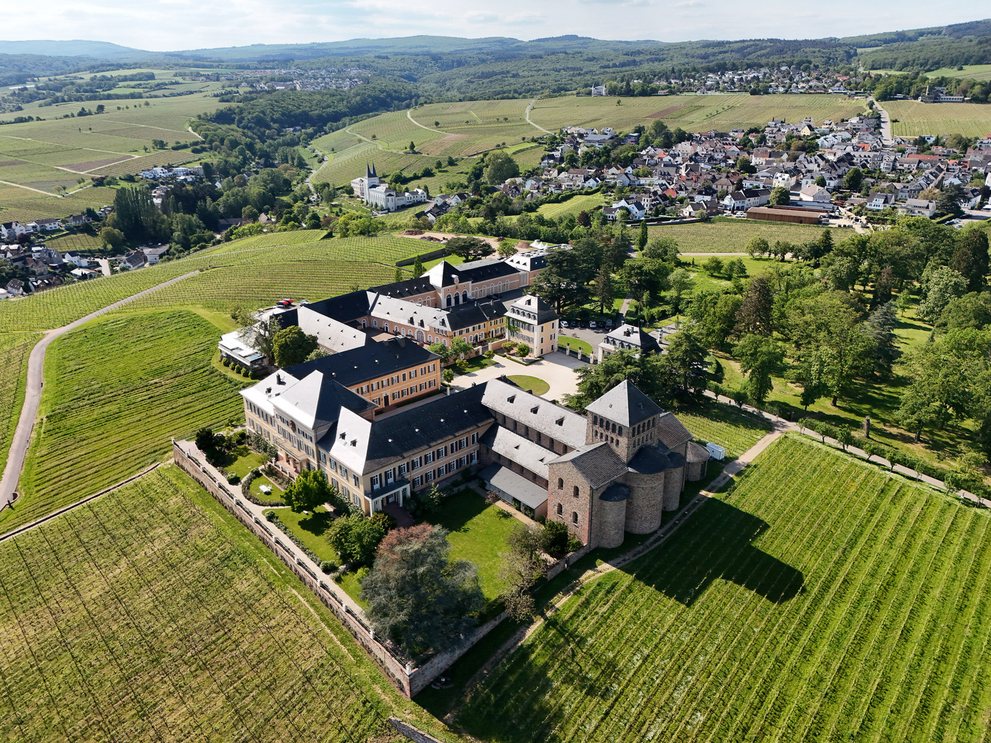 Schloss Johannisberg im Rheingau 1/5