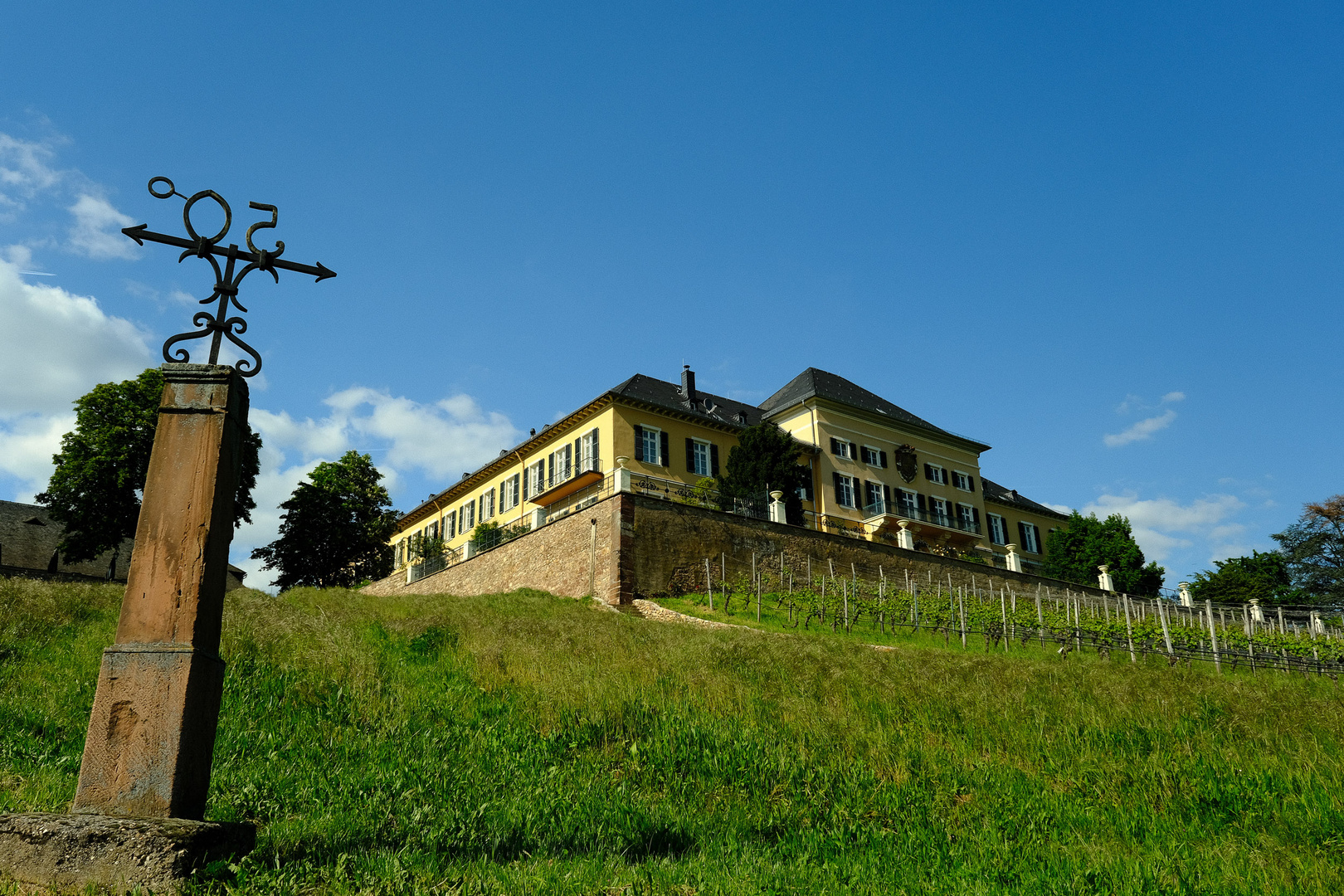 Schloss Johannisberg im Rheingau 2/5