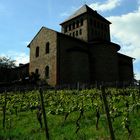 Schloss Johannisberg im Rheingau 4/5