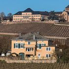 SCHLOSS JOHANNISBERG im Rheingau