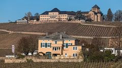 SCHLOSS JOHANNISBERG im Rheingau