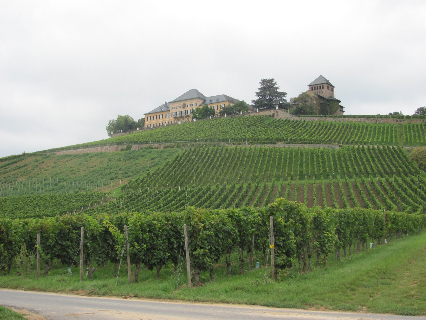 Schloss Johannisberg im Rheingau