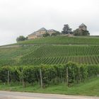 Schloss Johannisberg im Rheingau