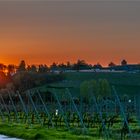 Schloss Johannisberg im Sonnenaufgang