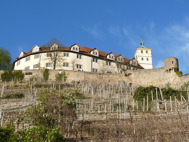 Schloss Kaltenstein