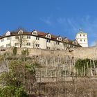 Schloss Kaltenstein