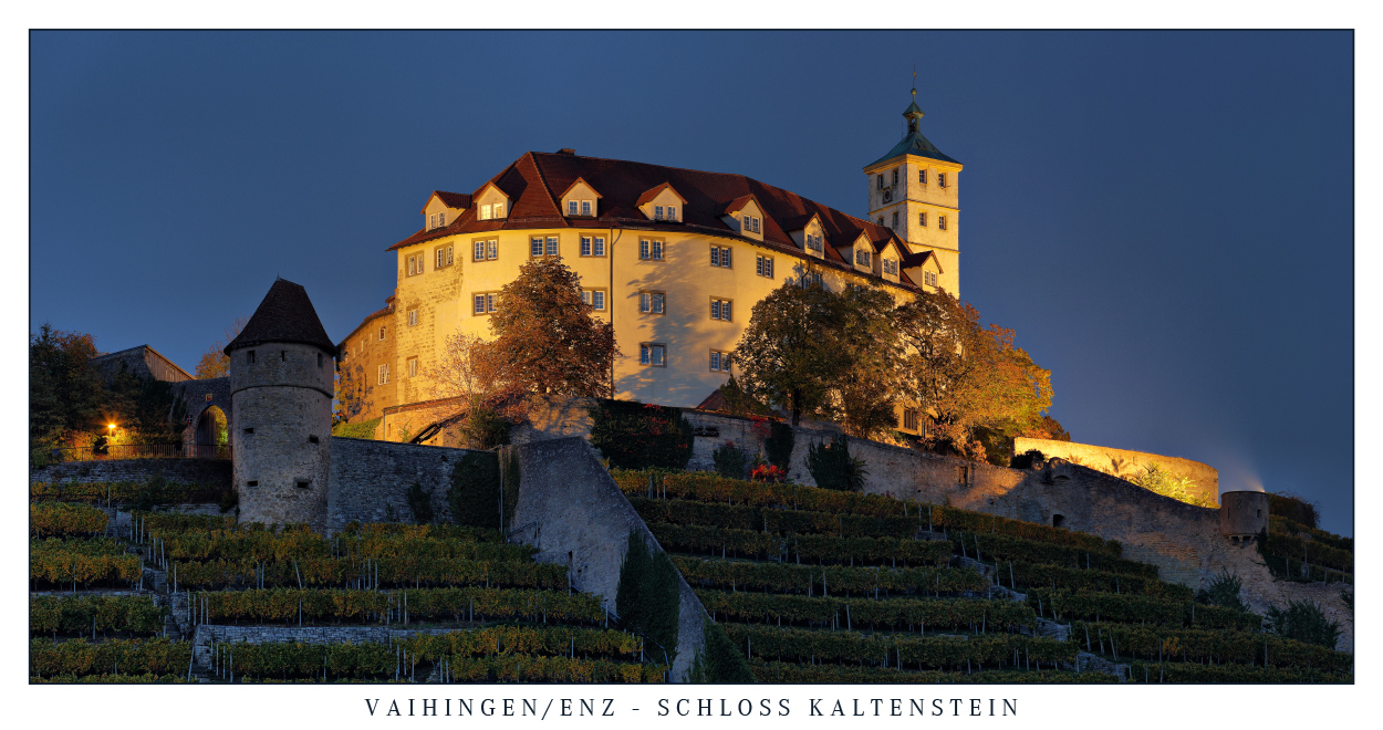 Schloss Kaltenstein