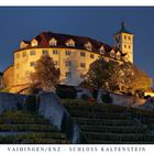 Schloss Kaltenstein