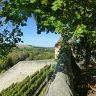 Schloss Kaltenstein Vaihingen an der Enz 3