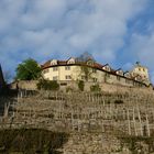 Schloss Kaltenstein, Vaihingen an der Enz