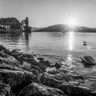 Schloss Kammer Attersee