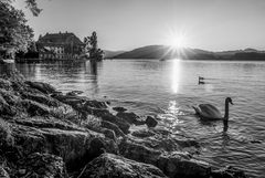 Schloss Kammer Attersee