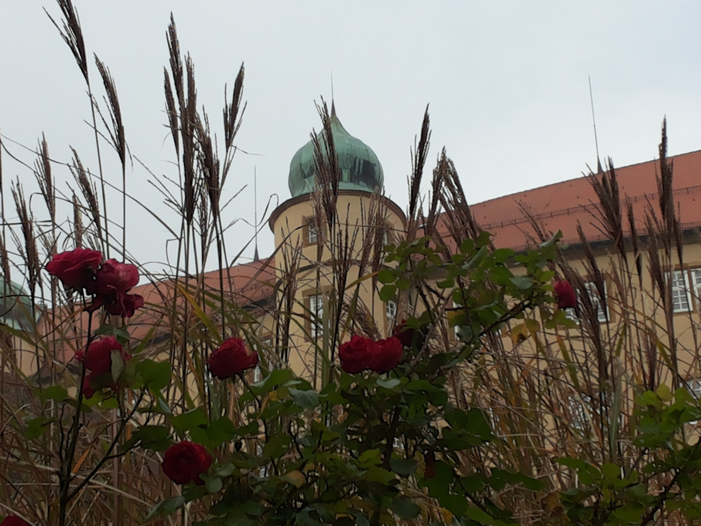 Schloss Kapfenburg 2