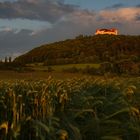 Schloss Kapfenburg