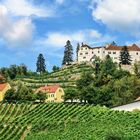 Schloss Kapfenstein