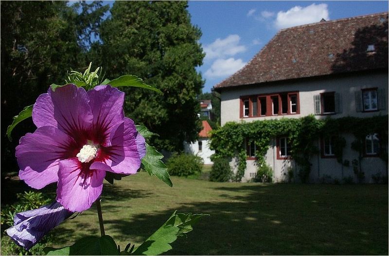 Schloss Kattenhorn