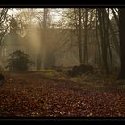 Schloss Kranichstein - Darmstadt...