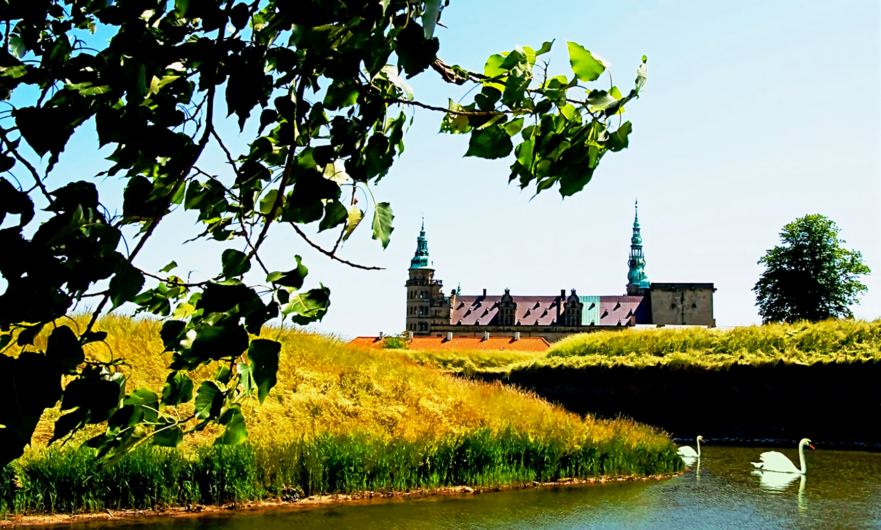 Schloß Kronborg im Sommer