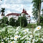 Schloss Läckö 