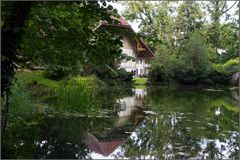 Schloss Landshuet Wildtierstation