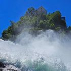 Schloss Laufen am Rheinfall