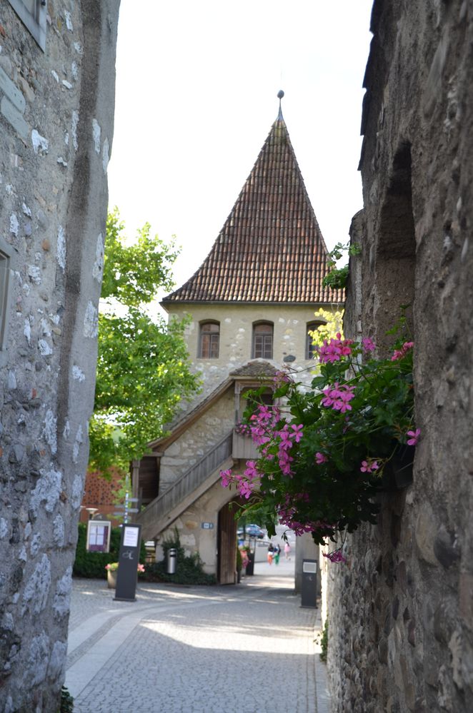 Schloss Laufen am Rheinfall ( CH )