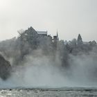 Schloss Laufen - Rheinfall