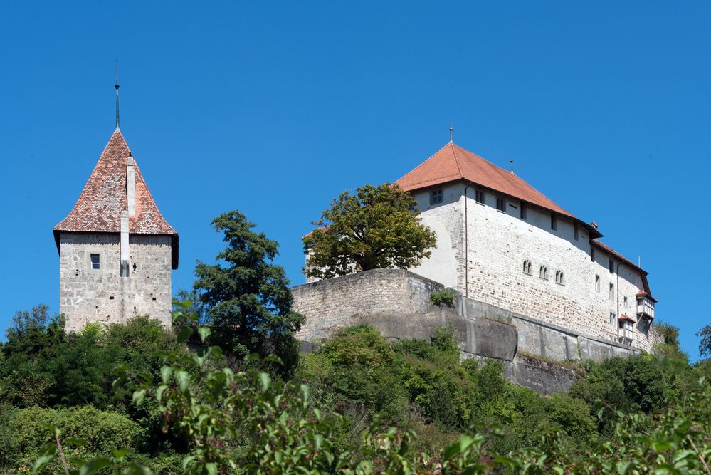 Schloss Laupen