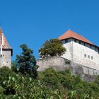 Schloss Laupen