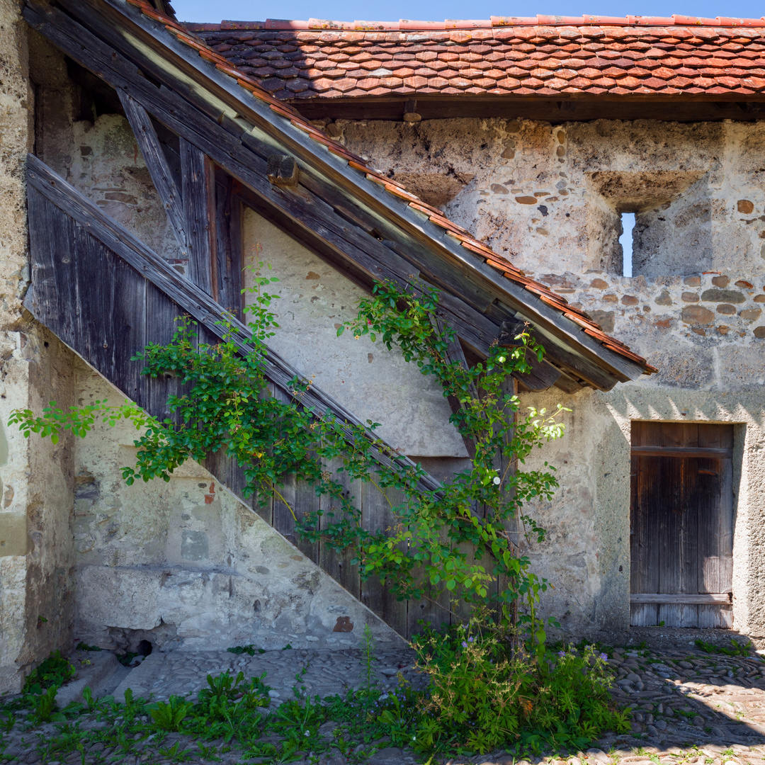 Schloss Laupen